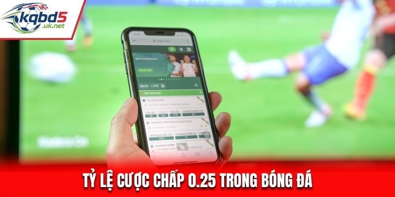 Tỷ lệ cược chấp 0.25 trong bóng đá