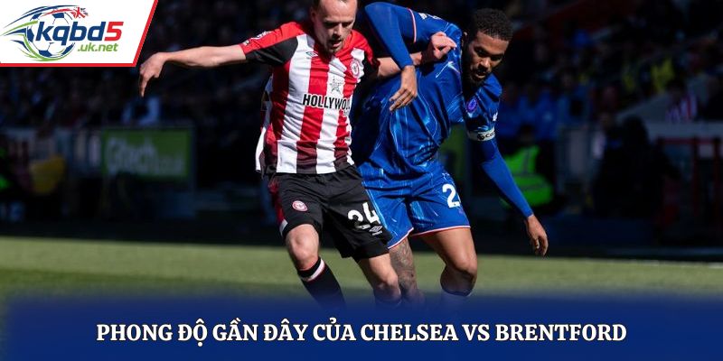 Nhận định soi kèo Chelsea vs Brentford qua phong độ